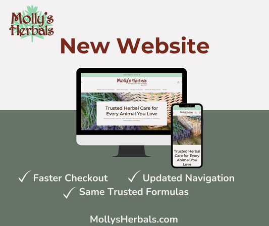 Welcome to Our Newly Renovated Website!