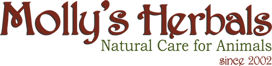 A New Chapter for Molly’s Herbals - Molly's Herbals