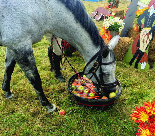 Molly's Herbals Makes Debut at Historic 2025 Camargo Hunt Hunter Trials - Molly's Herbals