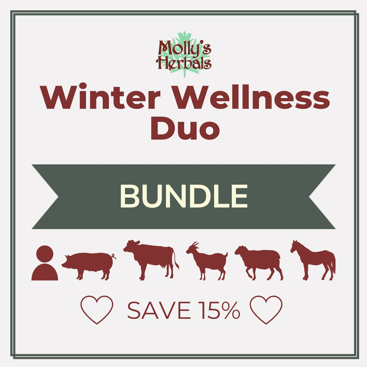 Winter Wellness Duo- Breathe EZ Tea + Immune Support Tincture - Molly's Herbals