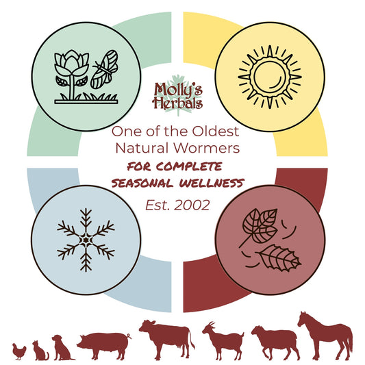 Molly's Herbals: One of the Oldest Natural Worming Systems in the United States - Molly's Herbals