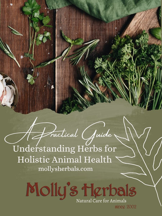 Understanding Herbs for Holistic Animal Health: A Practical Guide for Farm and Pet Owners - Molly's Herbals