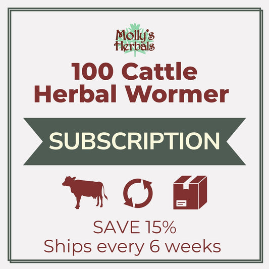 100 - Cattle Herbal Wormer Bundle (Subscription) - Molly's Herbals
