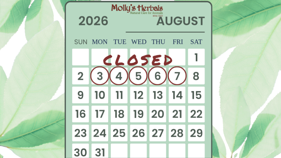 A digital graphic with a green leafy background and a calendar showing August 2026. The calendar is marked 'CLOSED' with the dates circled, Molly's Herbals will be CLOSED on August 3-7 to enjoy a Summer Break with our son.