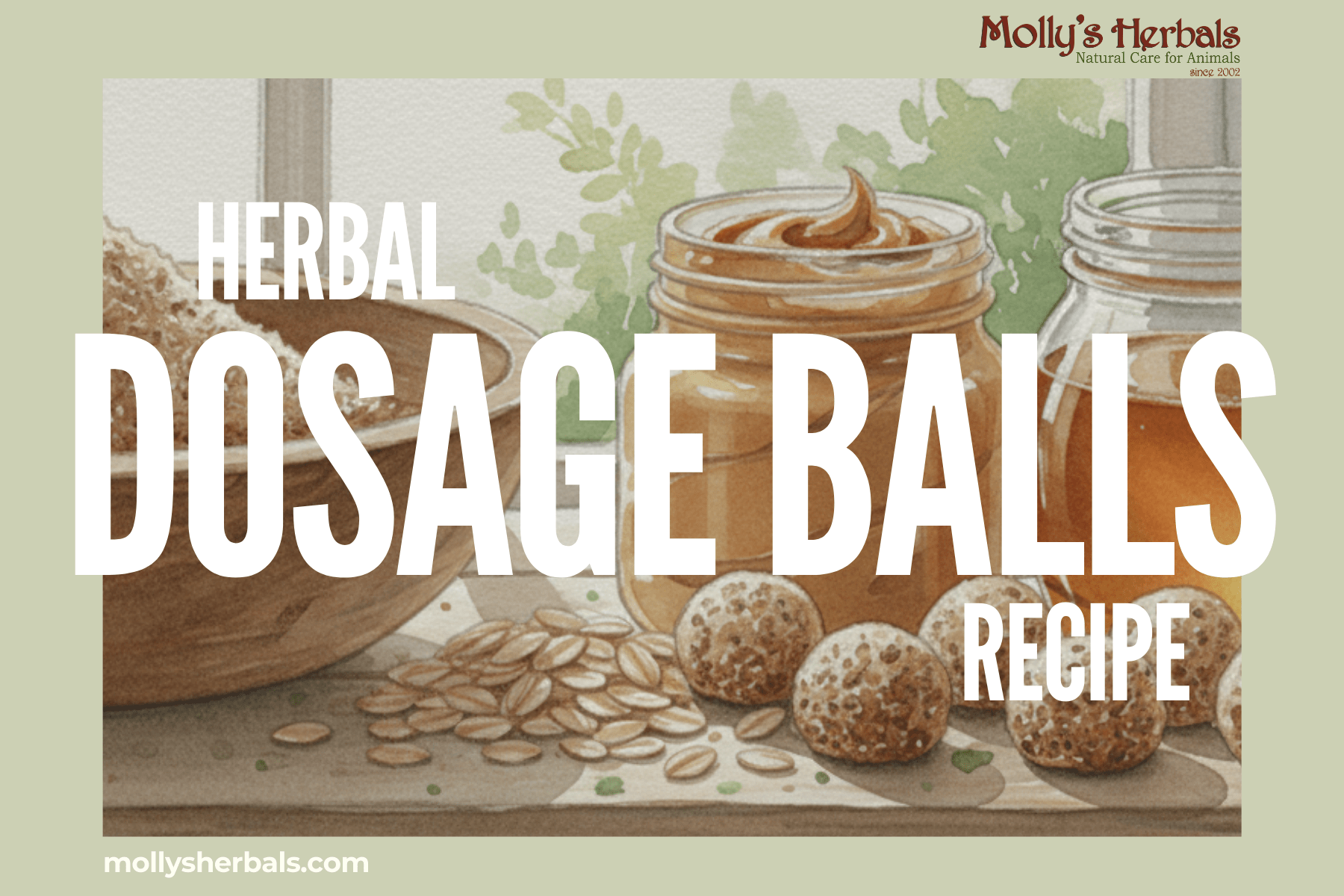 Herbal Dosage Balls Recipe Card — Free with Purchase - Molly's Herbals