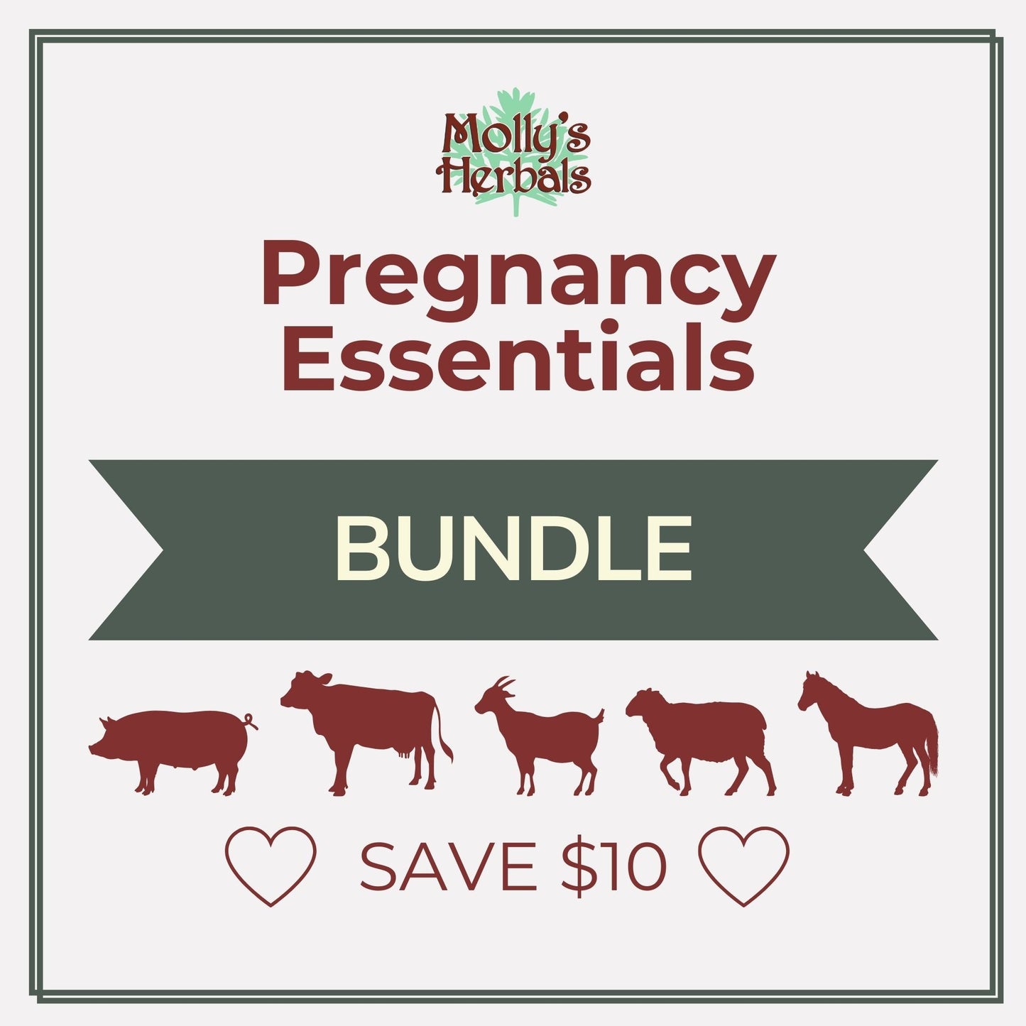 Pregnancy Essentials Bundle: Pregnancy Tonic + Wormer Kit + Mo’ Milk - Molly's Herbals
