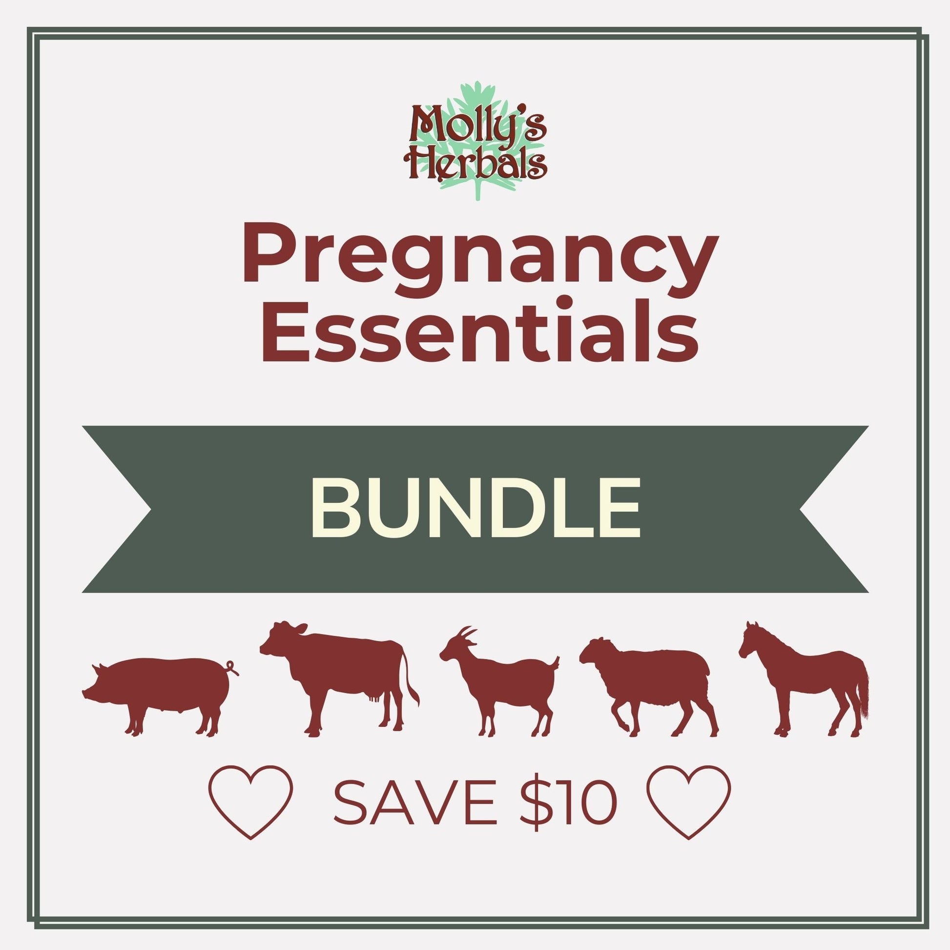 Pregnancy Essentials Bundle: Pregnancy Tonic + Wormer Kit + Mo’ Milk - Molly's Herbals