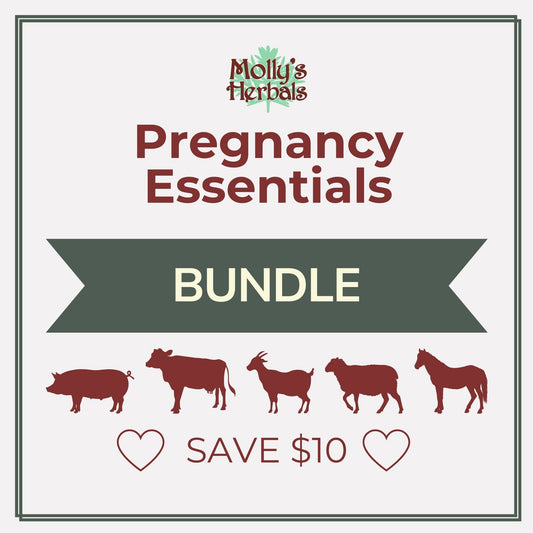 Pregnancy Essentials Bundle: Pregnancy Tonic + Wormer Kit + Mo’ Milk - Molly's Herbals